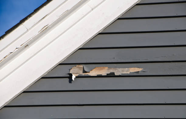 How To Choose The Right Materials for Your Siding Installation in 'Newberry, SC